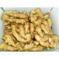 Kosher Laiwu Varieties Of Ginger